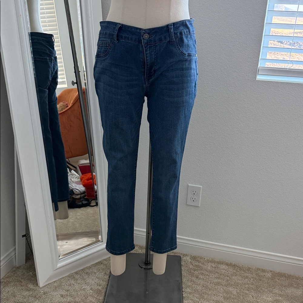 Blue Asphalt Women's Blue Jeans Jeggings